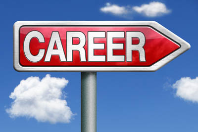 Career Overview and Profile Analysis